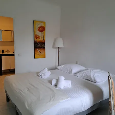 Spacieux Dans Standing Apartament Cannes